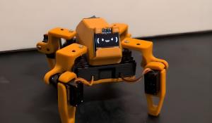 Sesame Robot